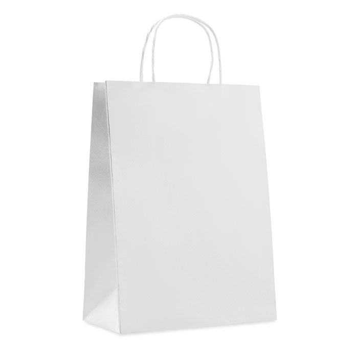 Large Paper Gift Bag