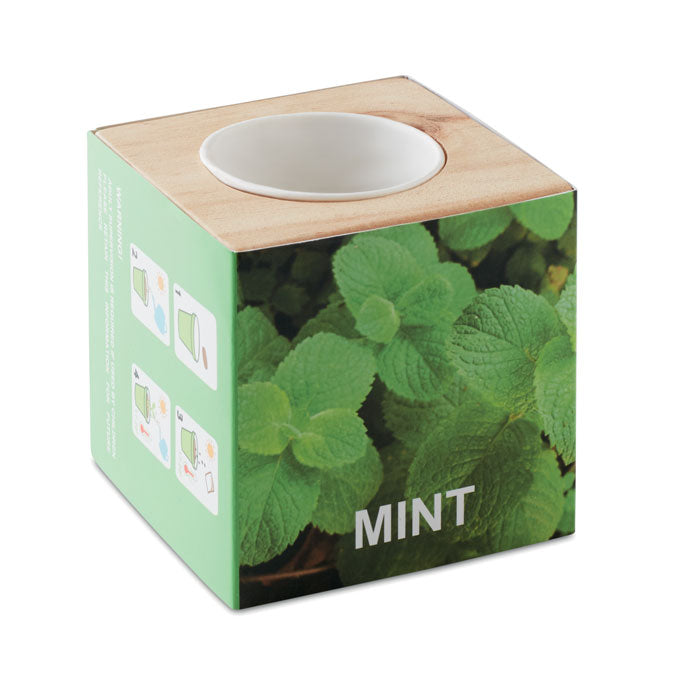 Wooden Mint Herb Growing Pot