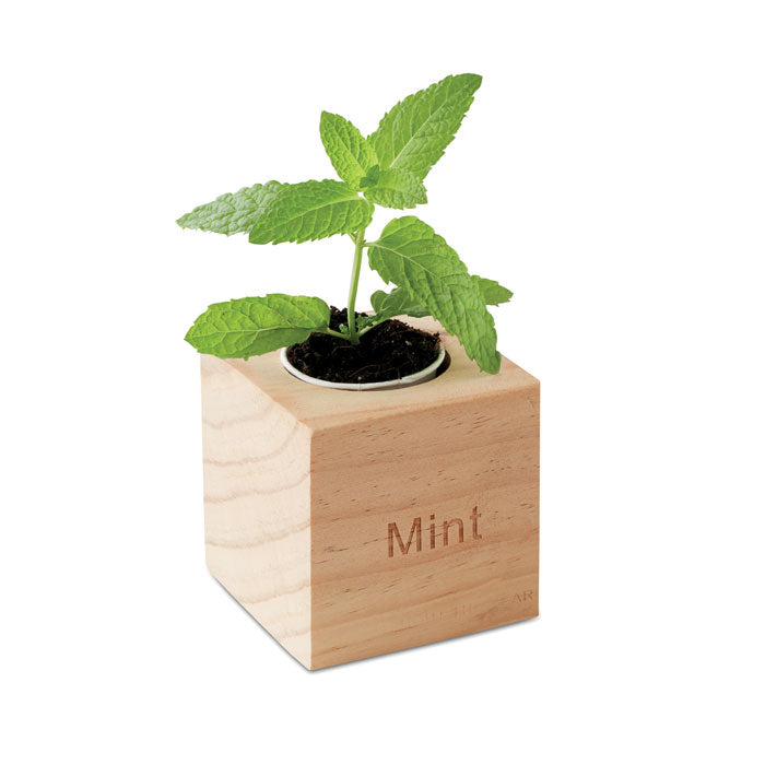 Wooden Mint Herb Growing Pot