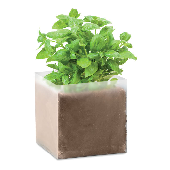 Compost Bag with Basil Seeds