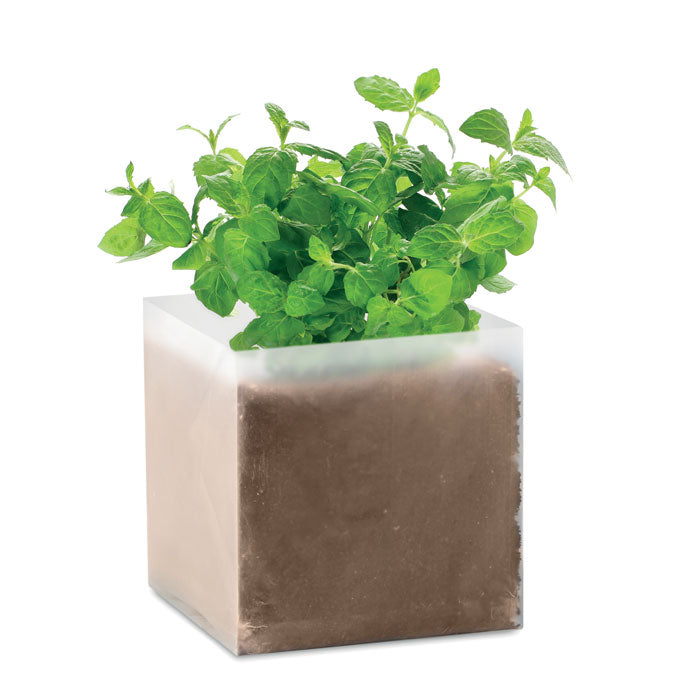 Compost Bag with Mint Seeds