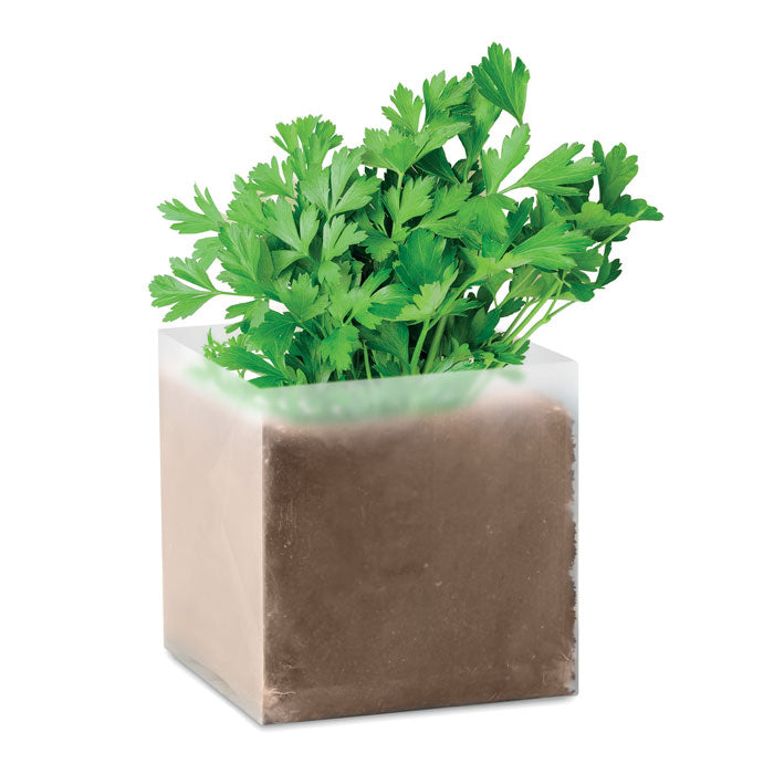 Compost with Parsley Seeds