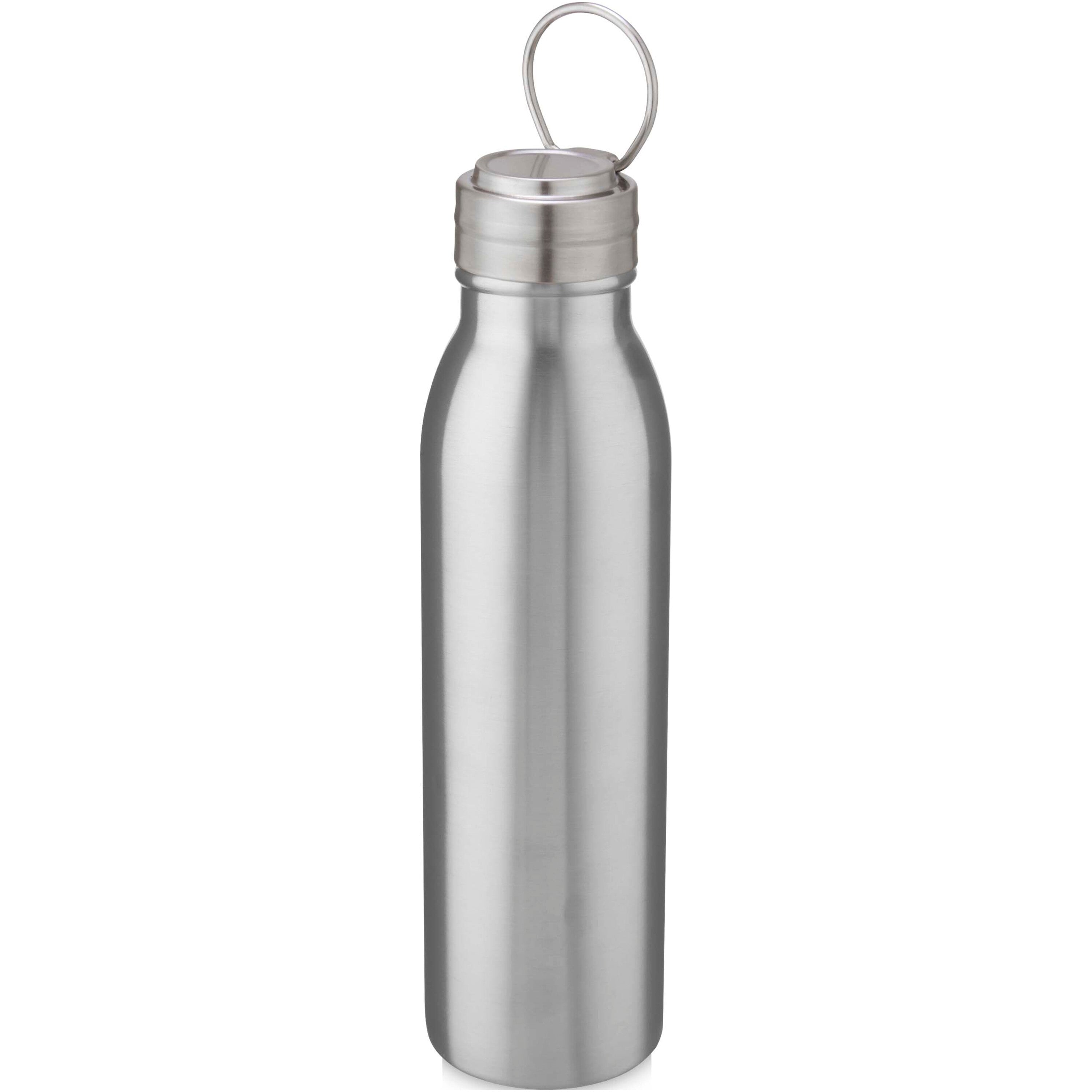Harper Recycled Stainless Steel Water Bottle with Loop