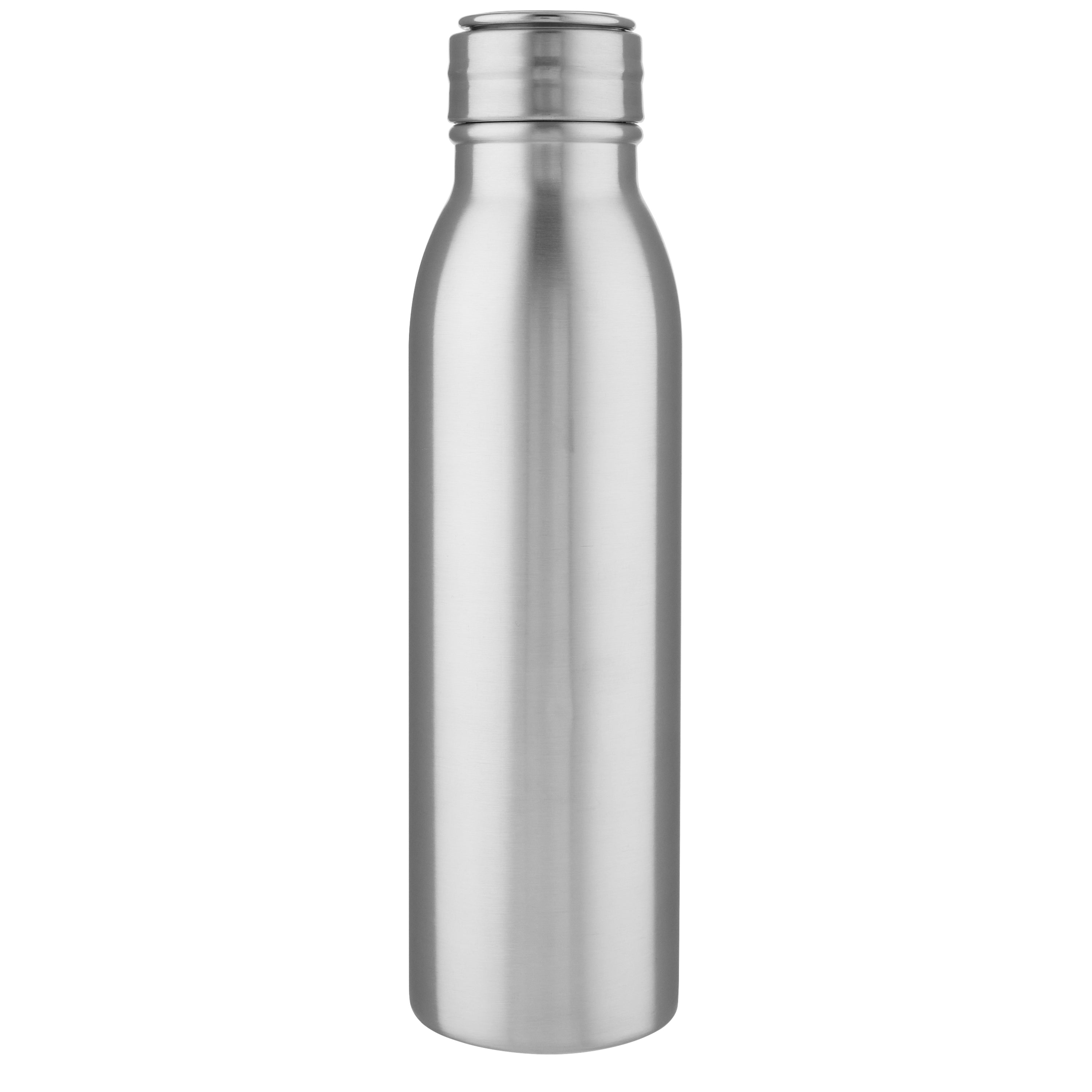 Harper Recycled Stainless Steel Water Bottle with Loop