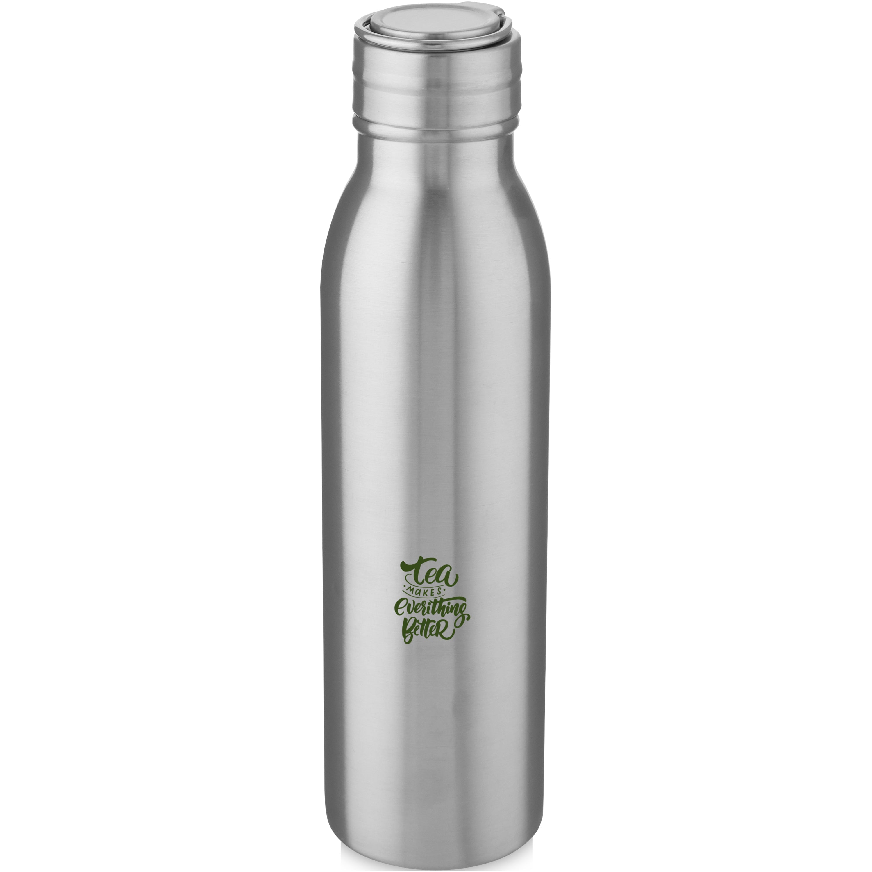 Harper Recycled Stainless Steel Water Bottle with Loop