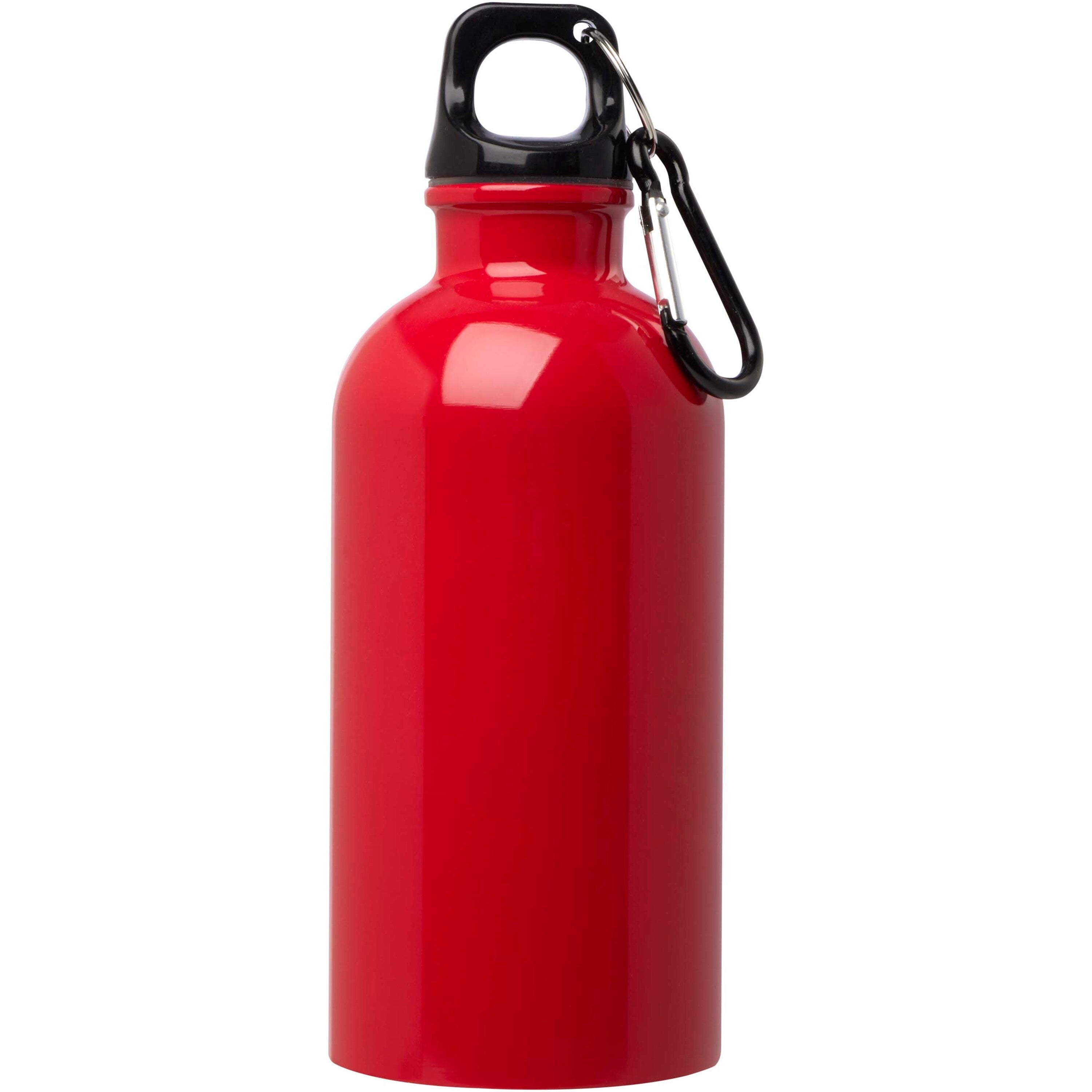 Upcycled Stainless Steel Water Bottle with Carabiner