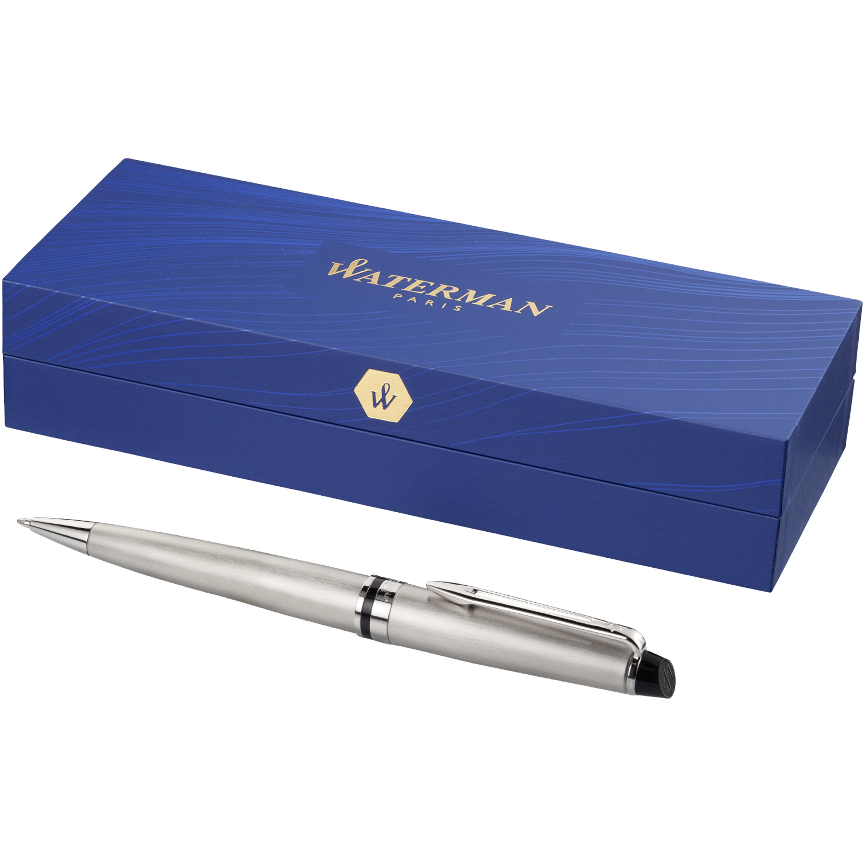 Waterman Expert Ballpoint Pen