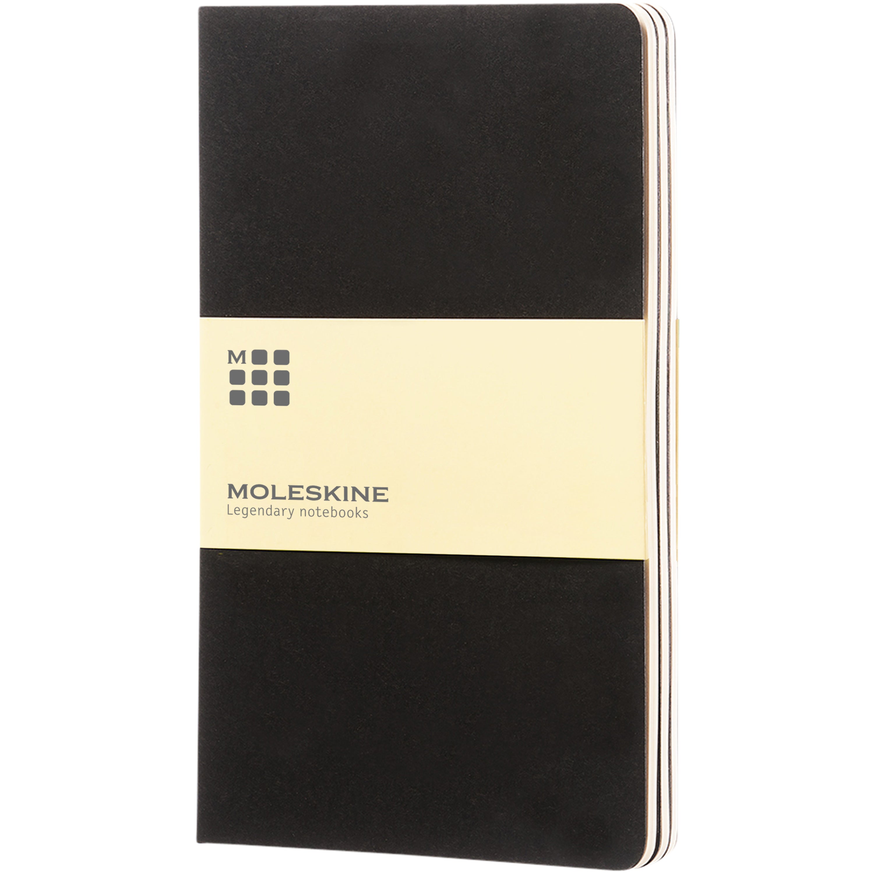 Large Moleskine Cahier Journal