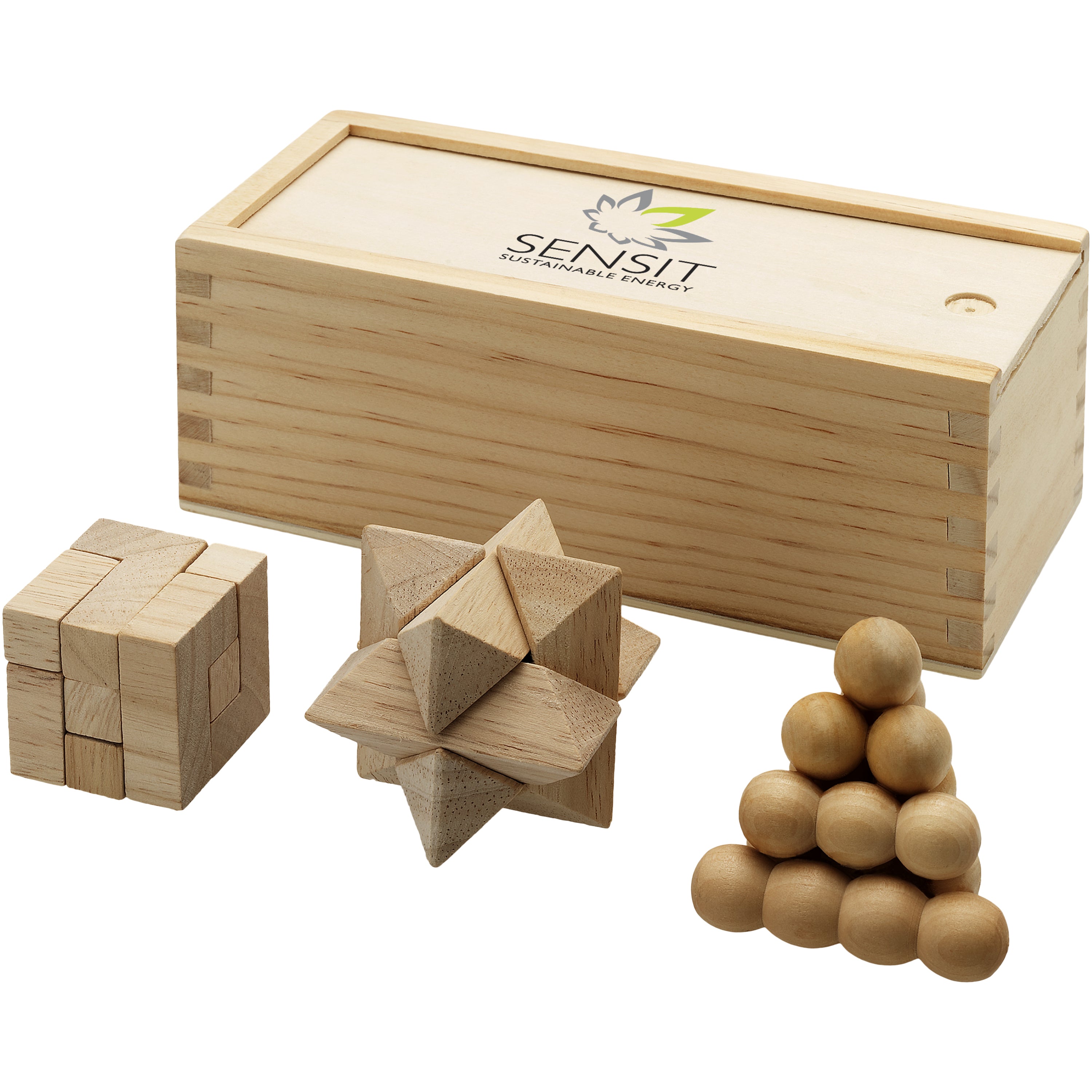 Brainiac 3-in-1 Wooden Brain Teaser Set