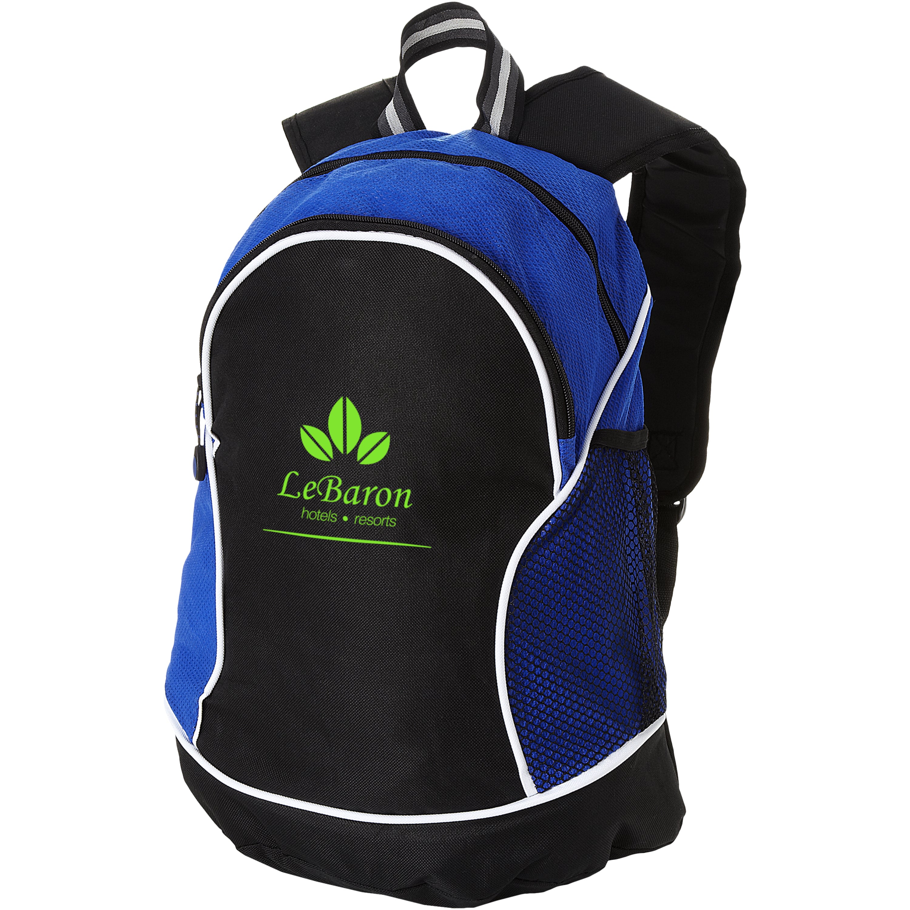 Boomerang 22L Backpack