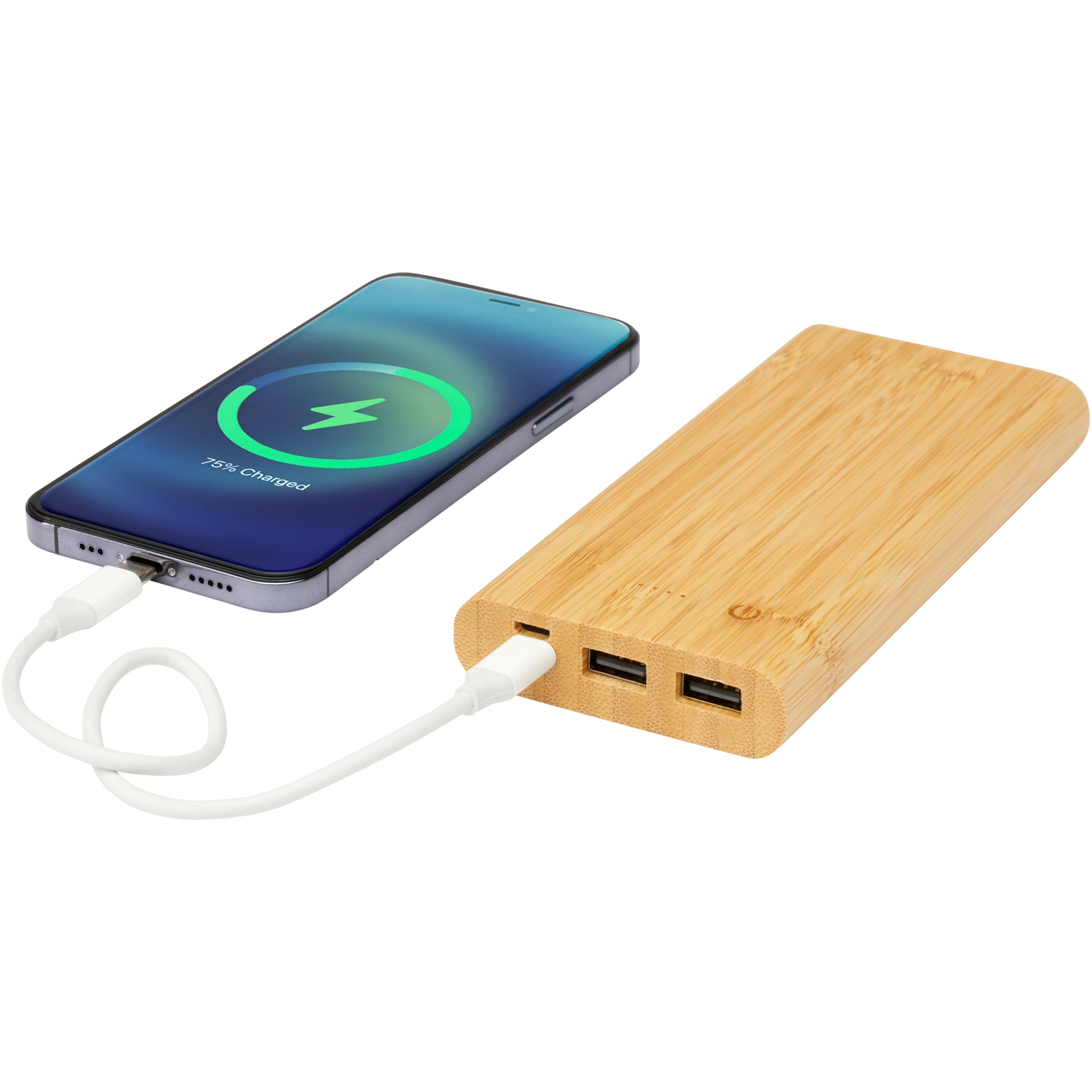 Tulda 10,000mAh Bamboo Powerbank
