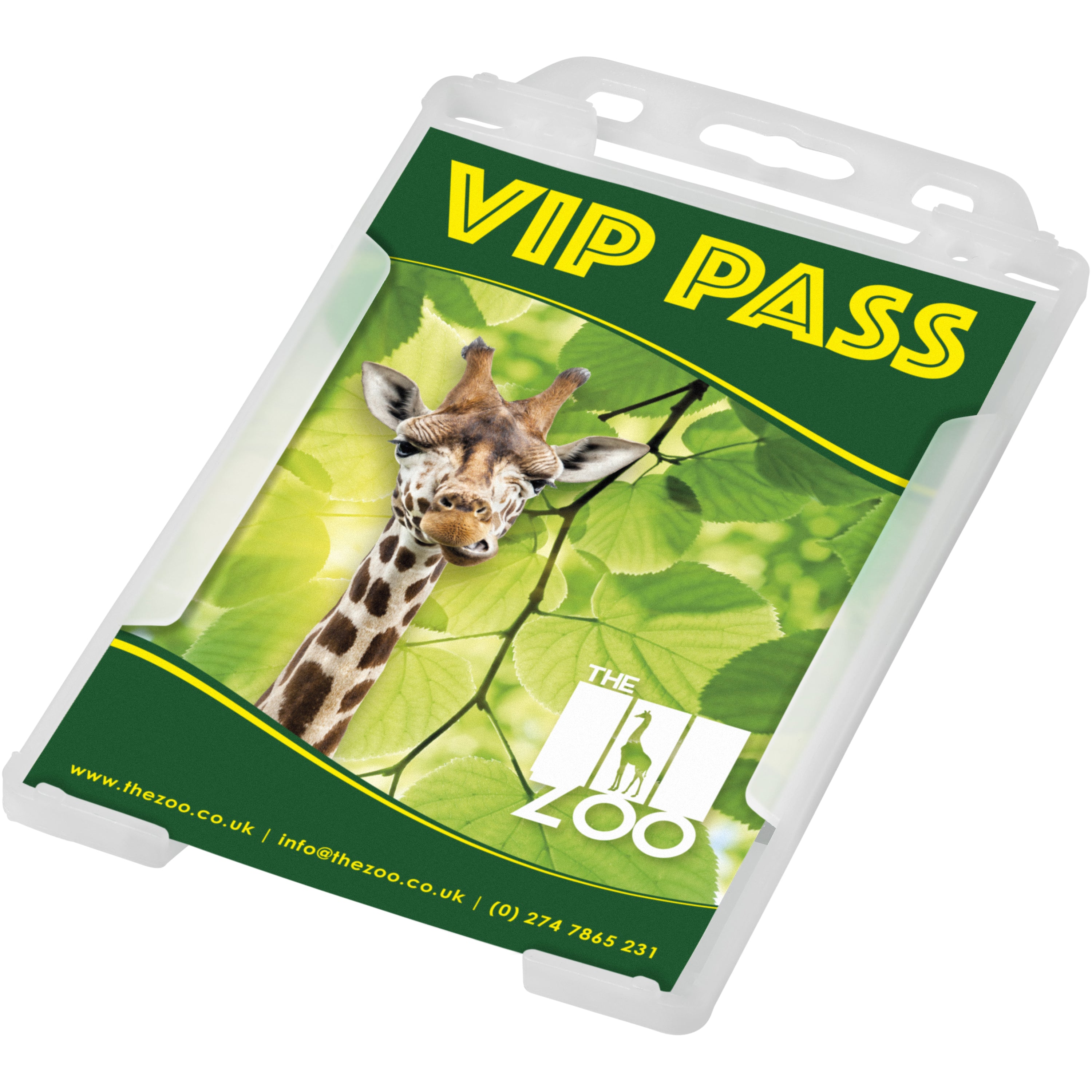 Pierre Recycled Plastic Pass Holder