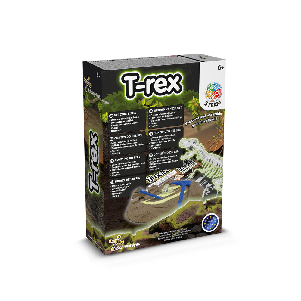 Fossil Excavation Kit I. Educational Game For Children