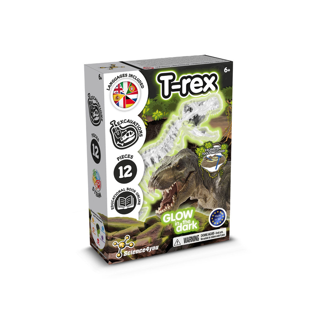 Fossil Excavation Kit I. Educational Game For Children