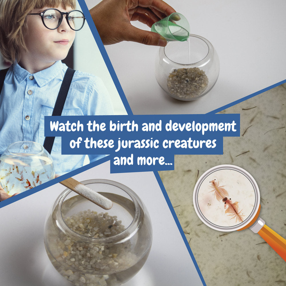 Jurassic Pets Kit I. Educational Game For Children