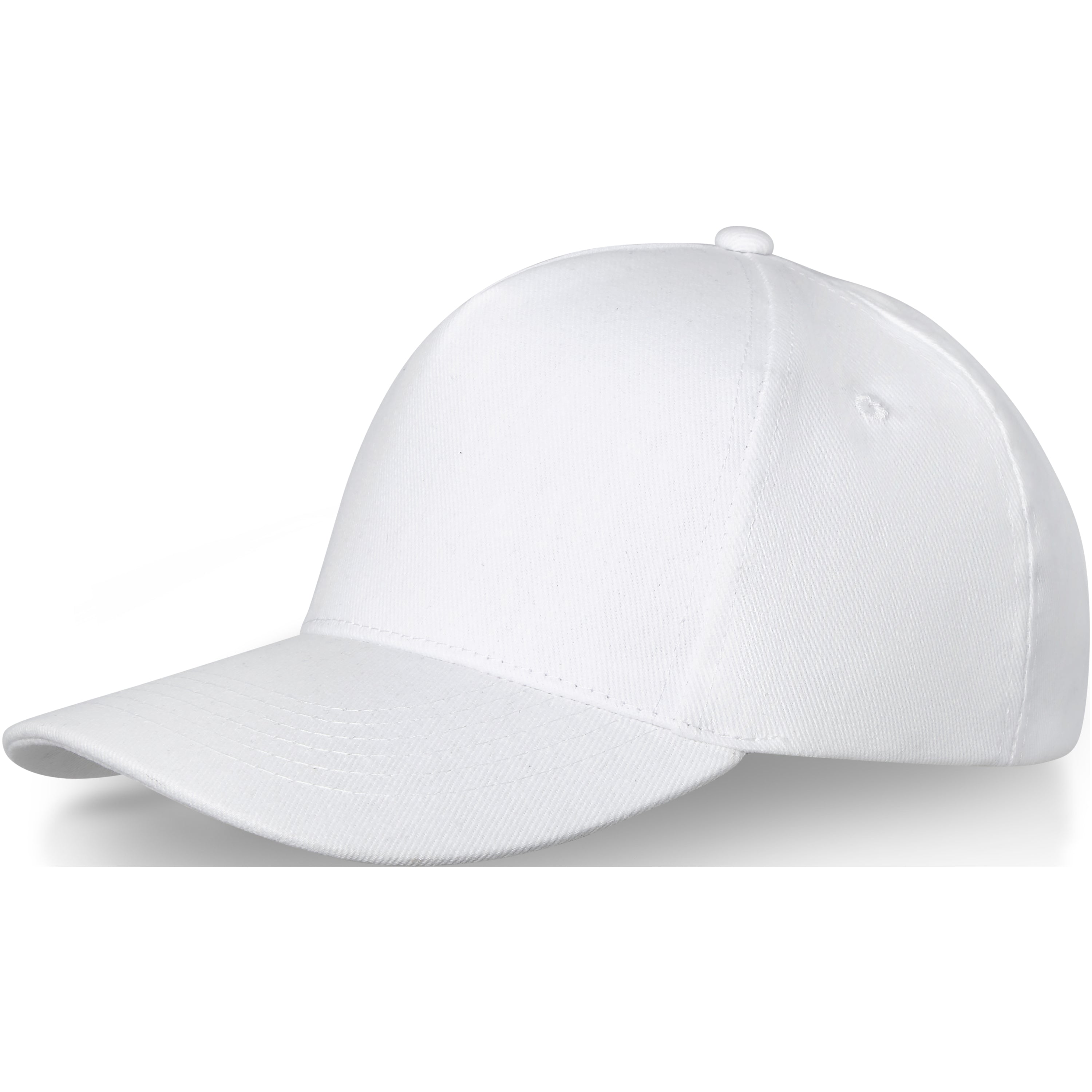 Doyle 5 Panel Baseball Cap