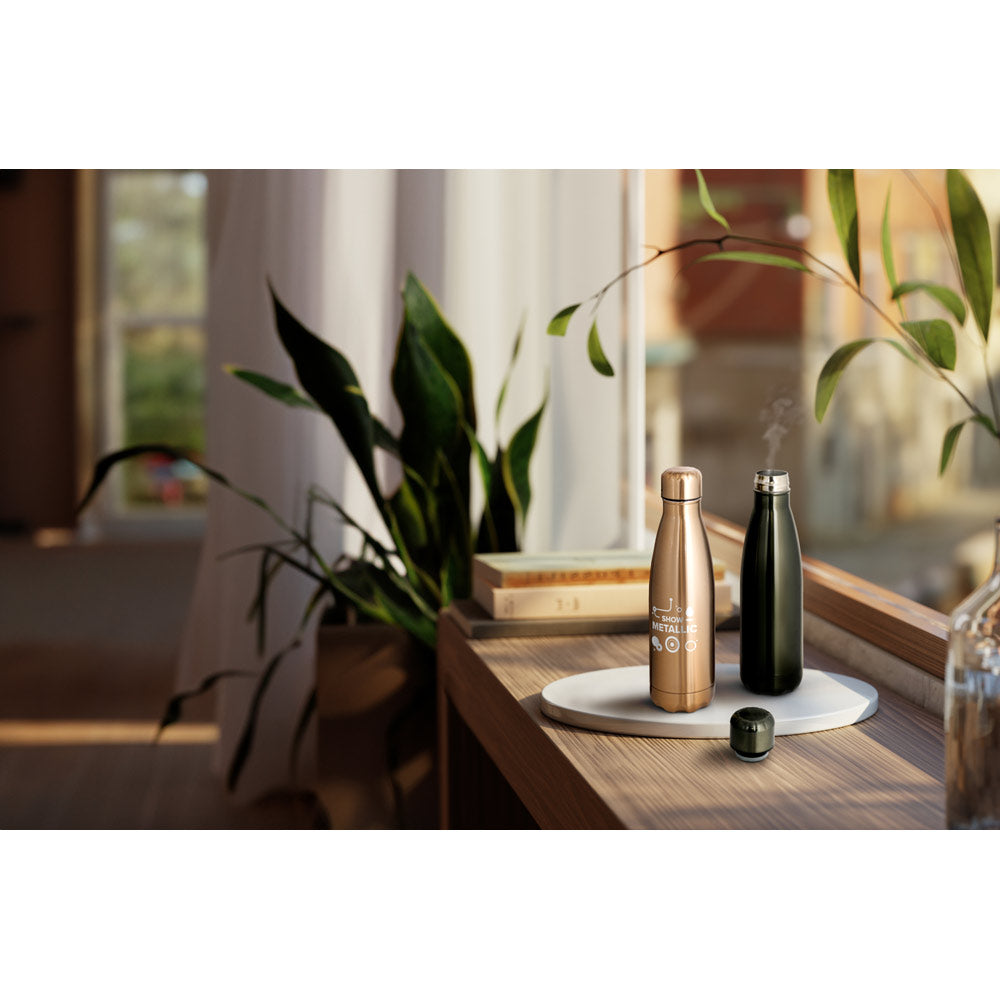 Show Metallic. Stainless Steel Bottle With Matt Metallic Finish 510 Ml