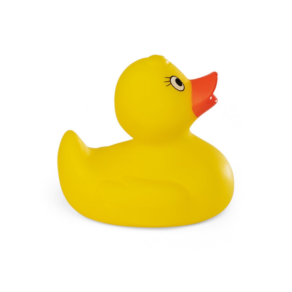 Duck. Rubber Duck In Pvc