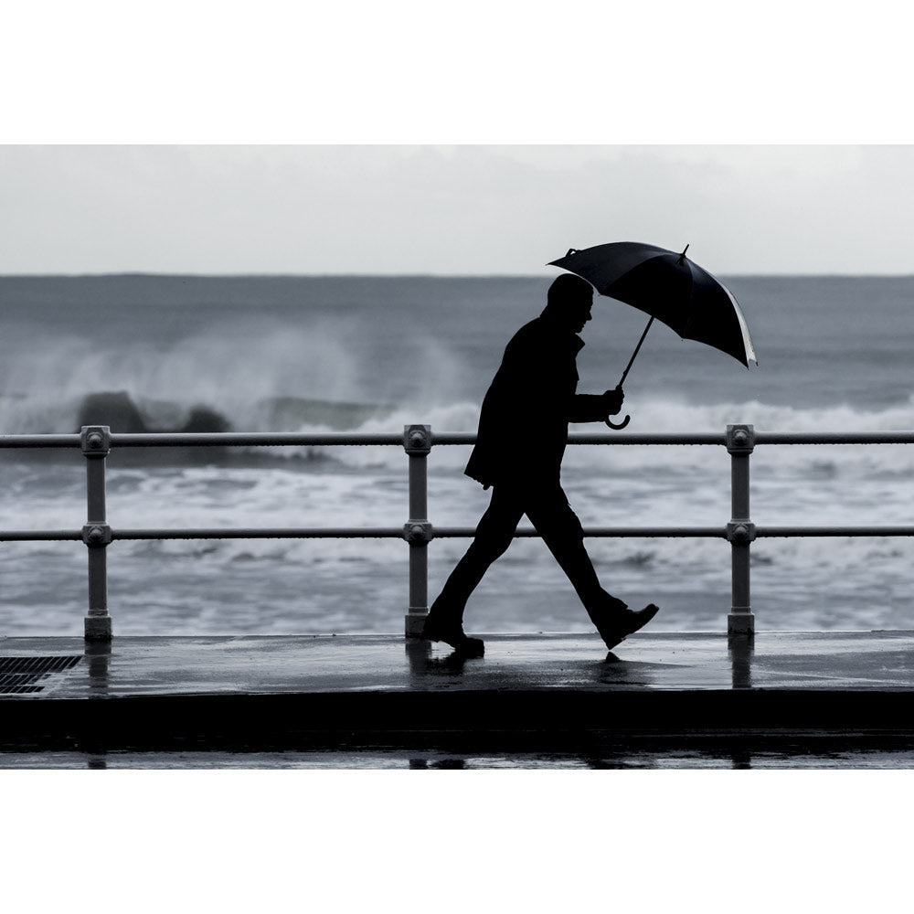 Albert. 190T Pongee Umbrella With Automatic Opening
