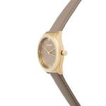 Watch Vivienne Black