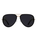 Sun Glasses Steel Avion Rg&Black M
