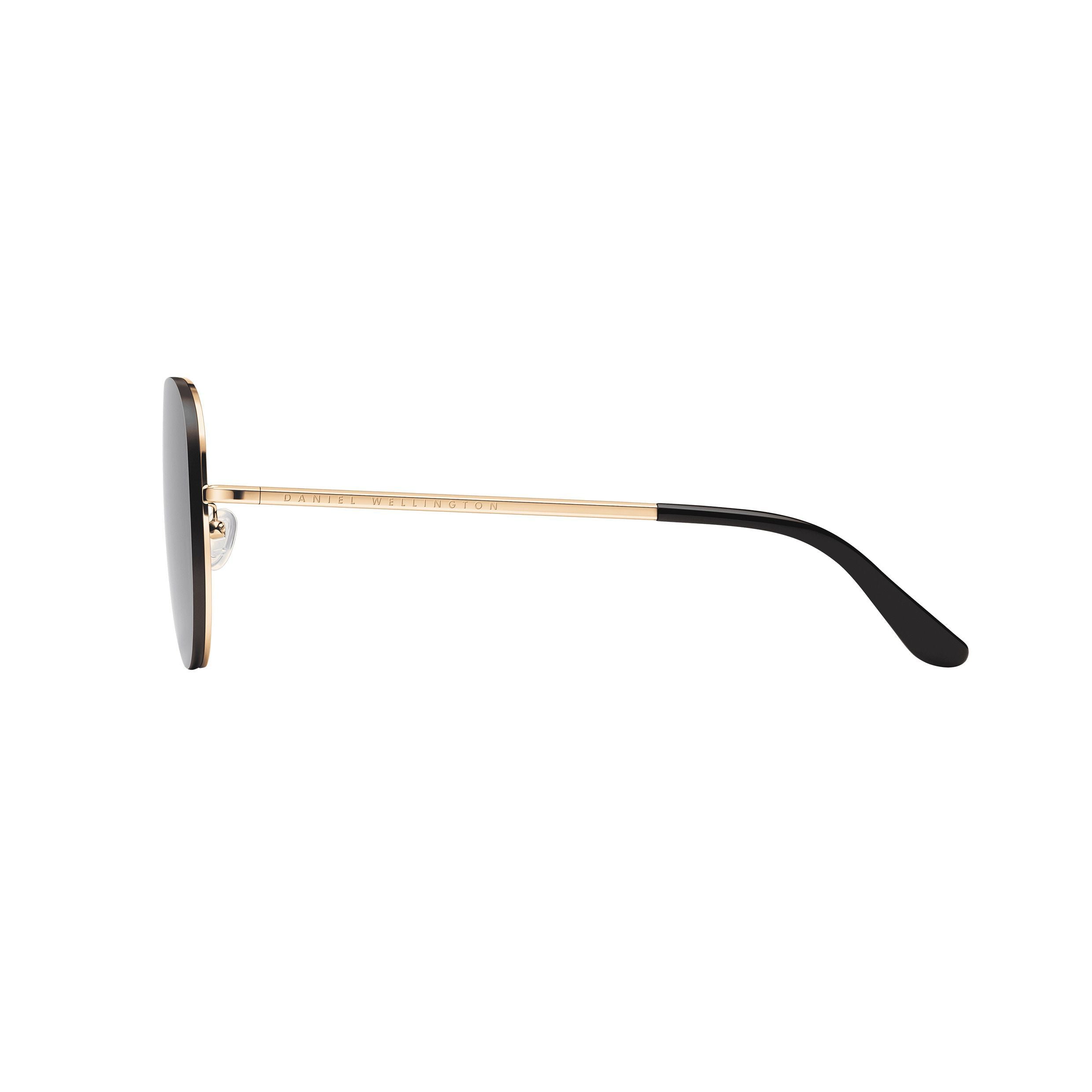 Sun Glasses Steel Avion Rg&Black M