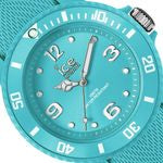 Ice Sixty Nine-Turquoise-Small