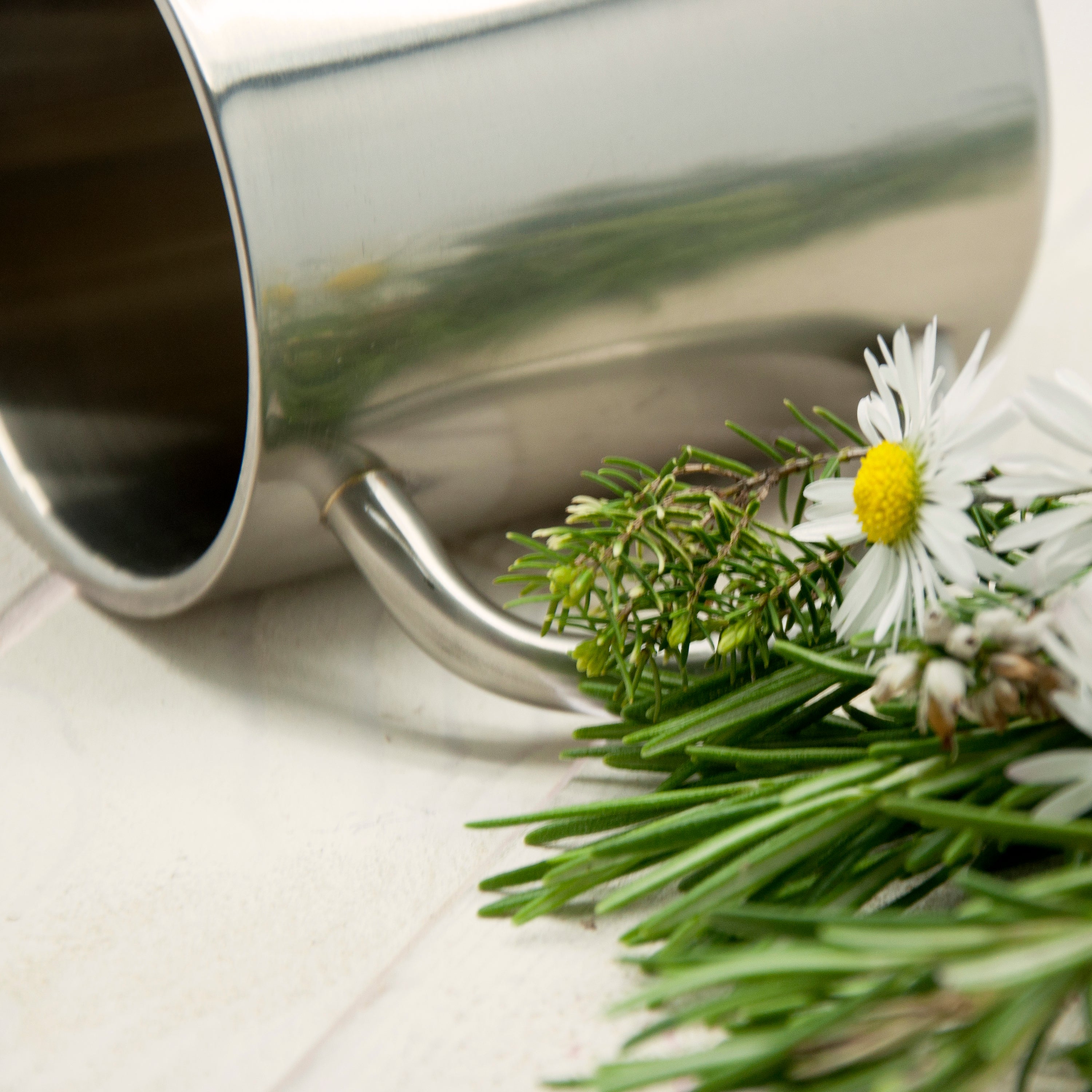 Stainless Steel Outdoor Vacuum Mug