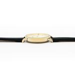 Watch Paola Black