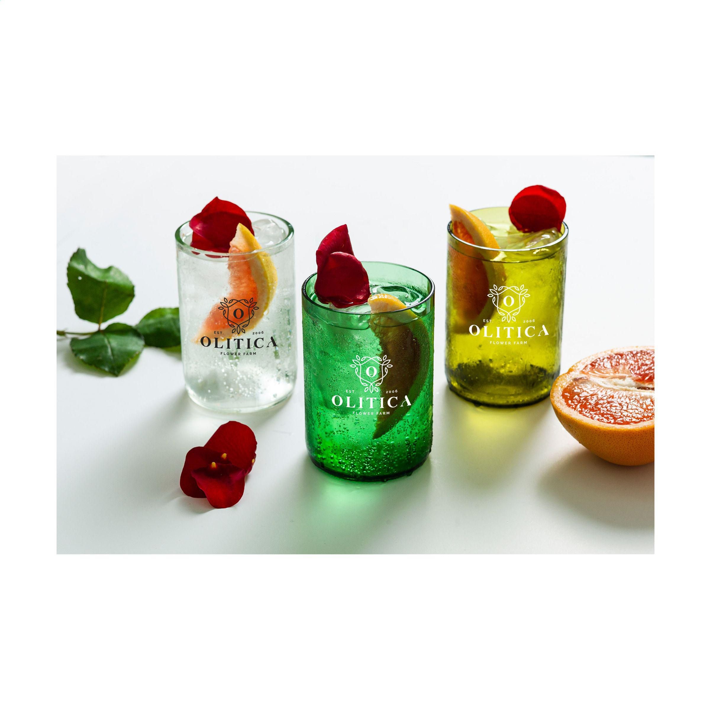 Rebottled® Tumbler 2-Pack Drinking Glasses