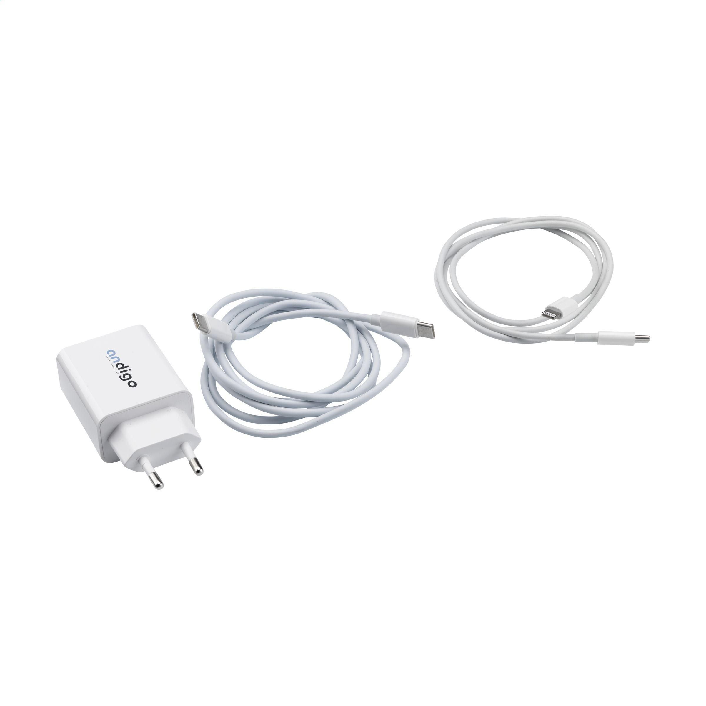 2-In-1 Rcs Cable Charging Set