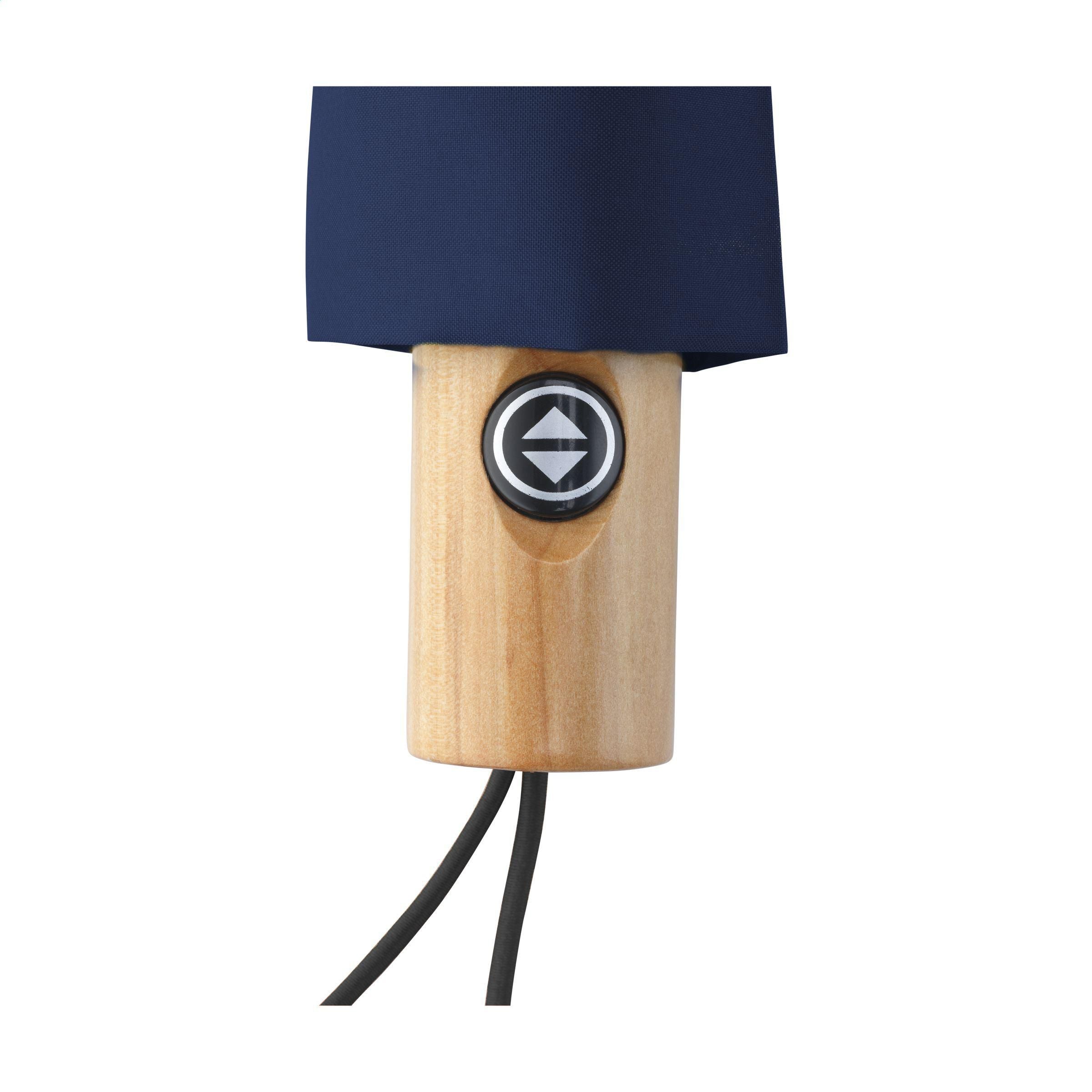 Michigan Foldable Rcs Rpet Umbrella 21 Inch