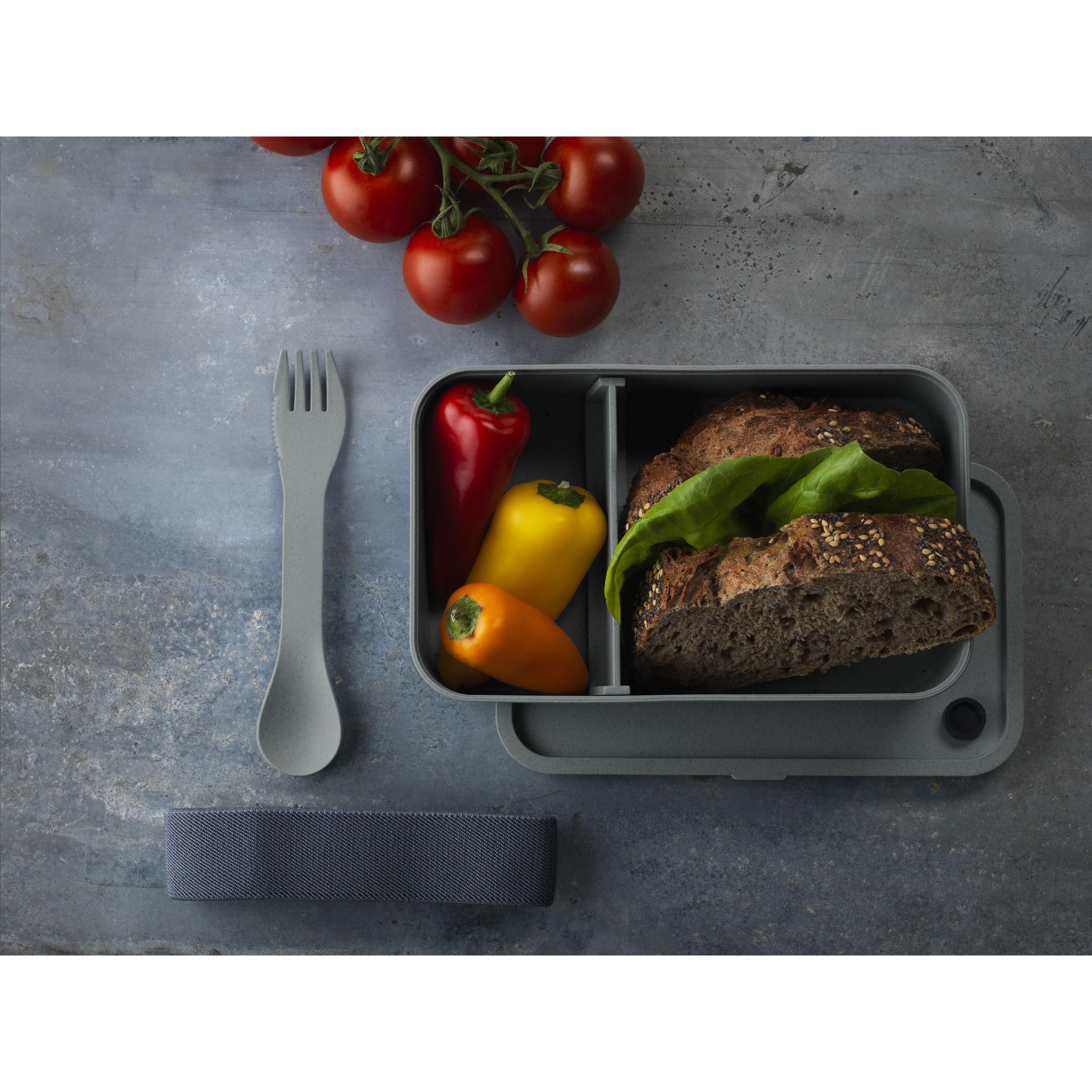Bento Pp Meal Box