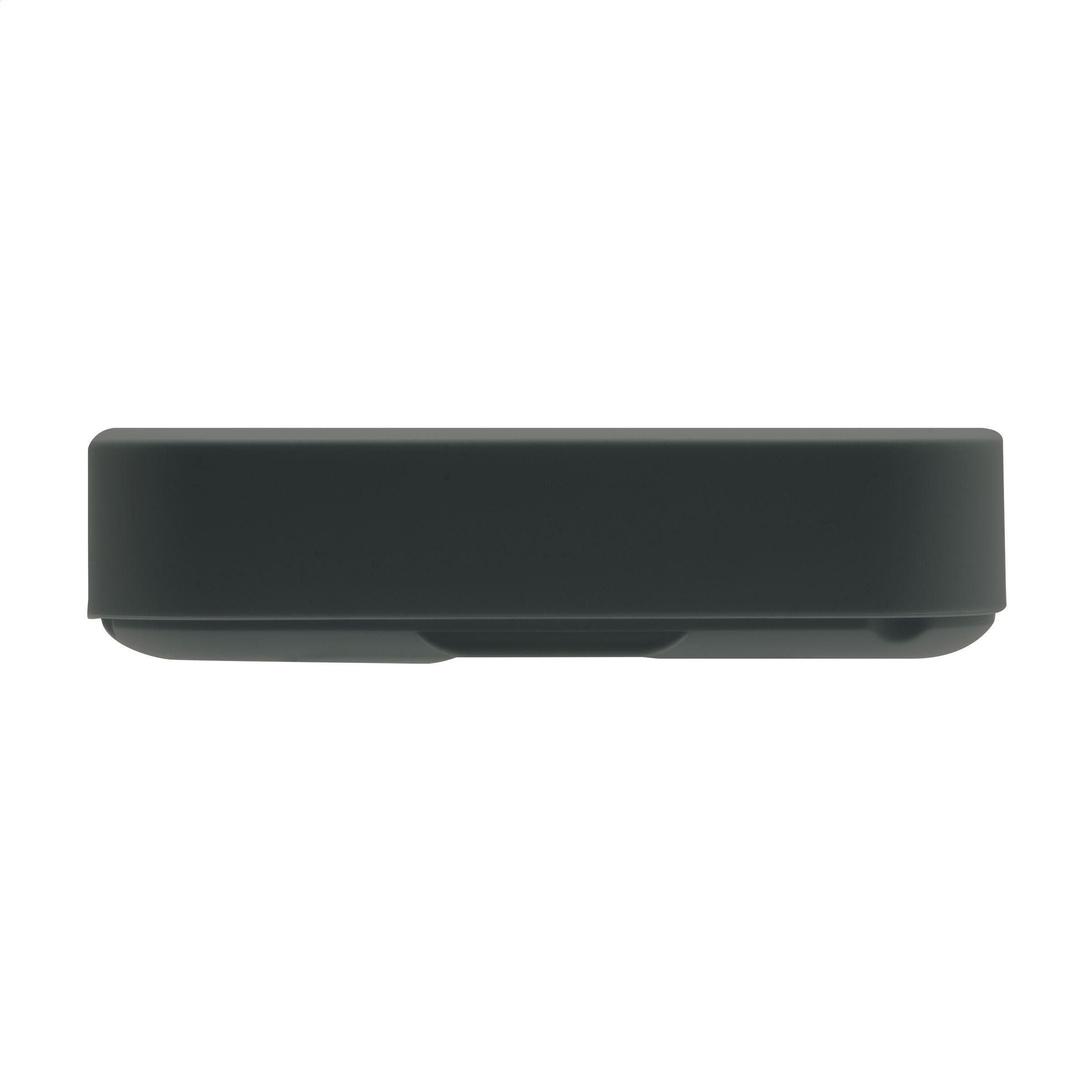 Amuse Recycled Pp Lunch Box