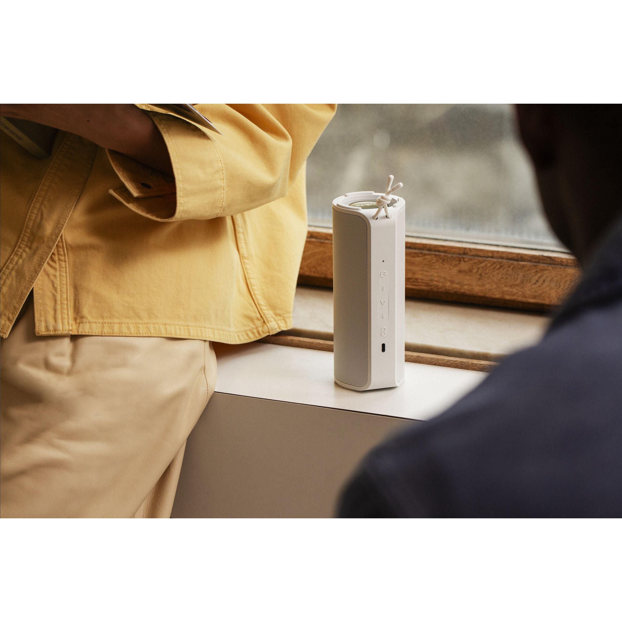 Sudio Bluetooth Speaker F4
