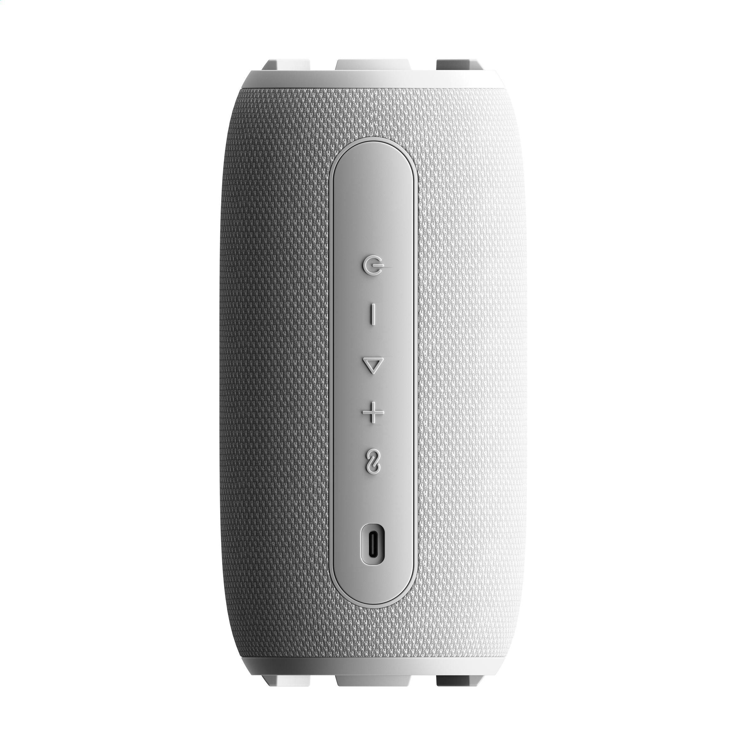 Sudio Bluetooth Speaker F5 Pro
