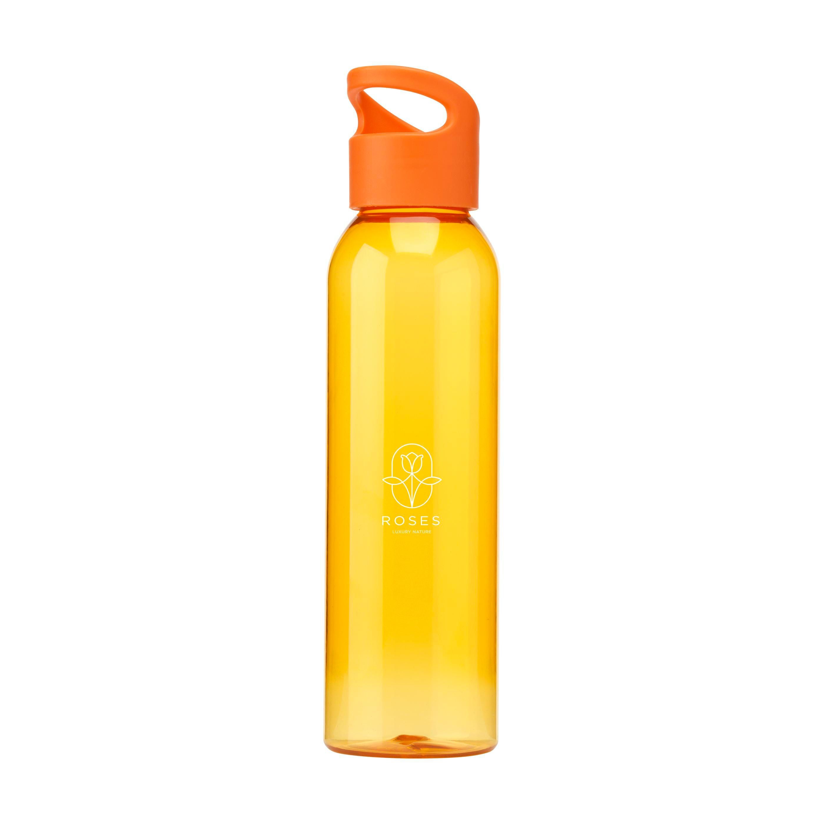 Sirius Grs Rpet 650 Ml Drinking Bottle