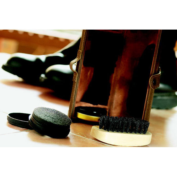 Shoe polish kit