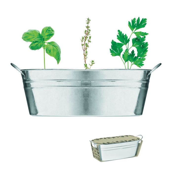 Zinc tub with 3 herbs seeds