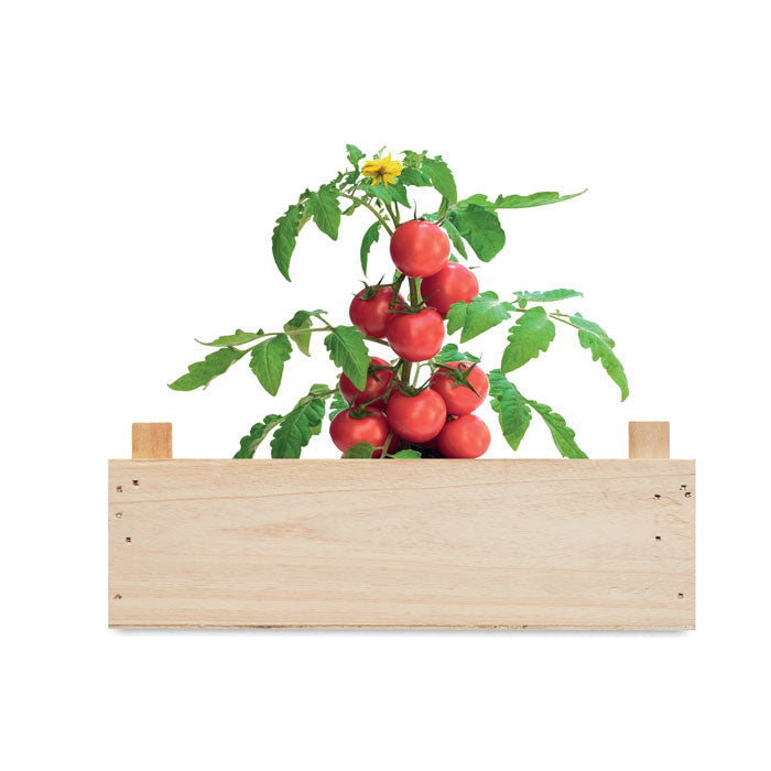 Tomato kit in wooden crate