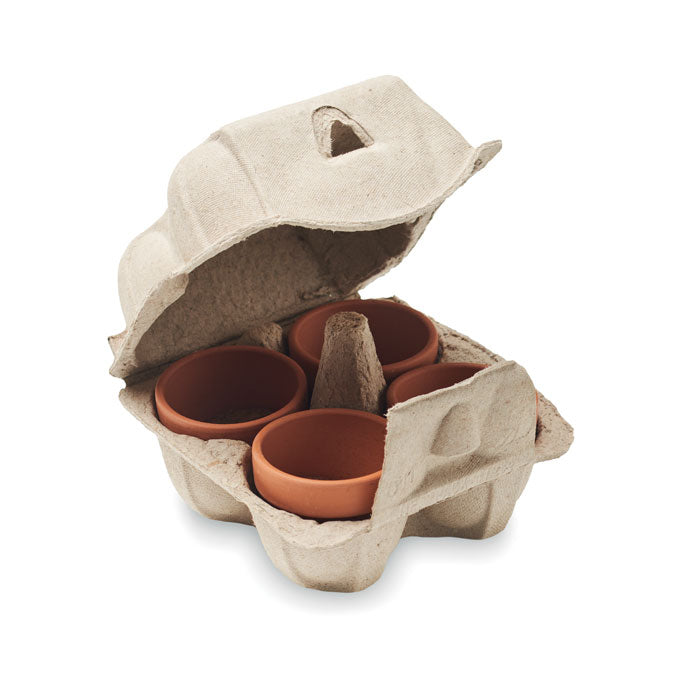 Egg carton growing kit