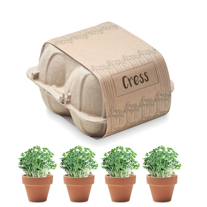 Egg carton growing kit