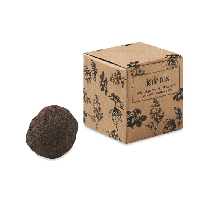 Herb seed bomb in carton box